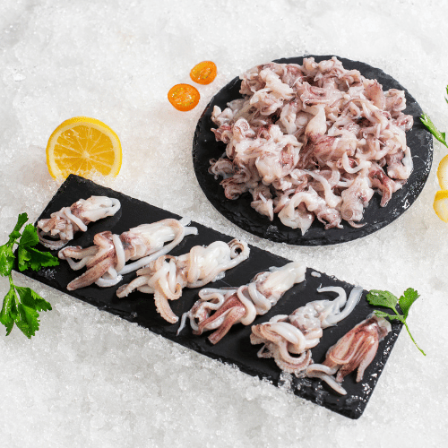 Loligo squid tentacle.jpg